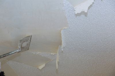 Ceiling Damage Repair
